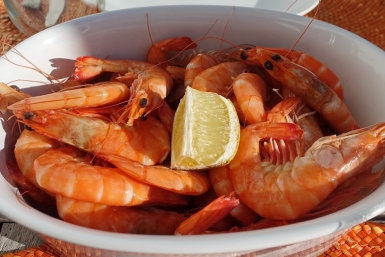 И мышьяк по вкусу: ядовитые креветки чуть не попали в меню приморцев сайт pixabay.com