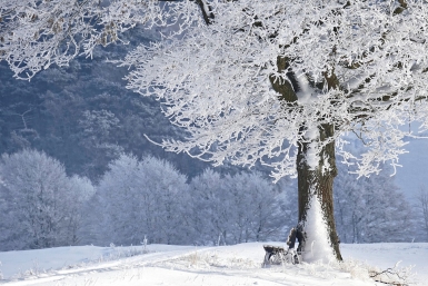 Тематическое фото Pixabay.com
