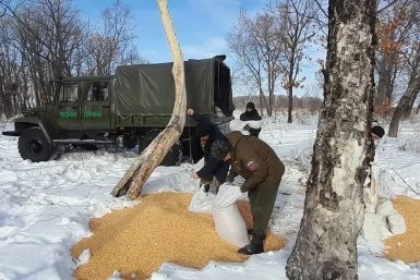 60 мешков кукурузы и соль-лизунец доставили для подкормки копытных в Приморье Министерство лесного хозяйства, охраны окружающей среды, животного мира и природных ресурсов Приморского края