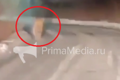 Скриншот из видео Видео очевидцев из telegram - канала primamedia