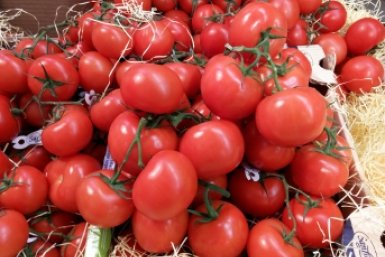 Тематическое фото pxhere.com