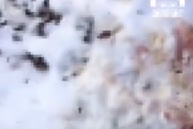 Скриншот из видео Видео очевидцев из telegram - канала amur_mash