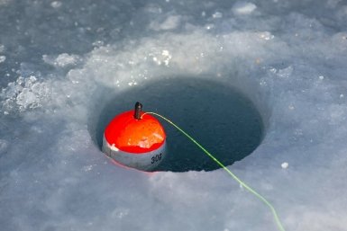 Тематическое фото Илья Аверьянов, ИА PrimaMedia