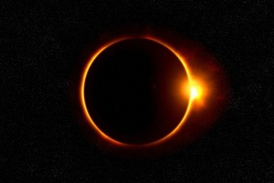 Тематическое фото pxhere.com
