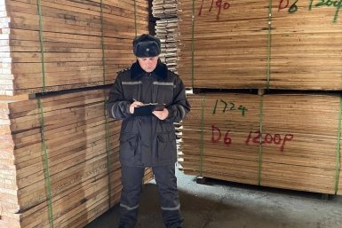 Россельхознадзор Приморья оформил на экспорт свыше 72 тысяч кубометров лесоматериалов Приморское межрегиональное управление РСХН