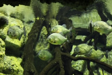 Тематическое фото pxhere.com