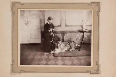 Полосатый капитал: как 100 лет назад в Уссурийске живыми тиграми торговали