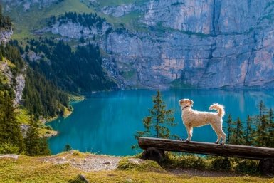 Тематическое фото pxhere.com