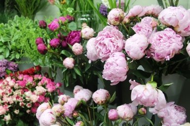 Тематическое фото Ольга Долгополова, ИА UssurMedia