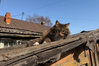 Будет тепло Марина Кудрявцева, ИА UssurMedia