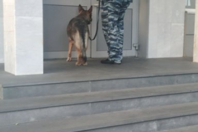 Вузы и сузы проверили после информации о минировании на Ставрополье ИА Stavropol.Media