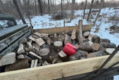 В Уссурийске полицейские задержали подозреваемого в незаконной рубке лесных насаждений Tg-канал (18+) полиции Приморья
