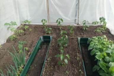 Тематическое фото Фото автора