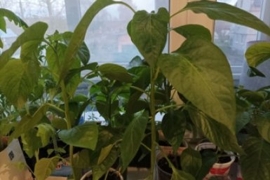 Тематическое фото Фото автора