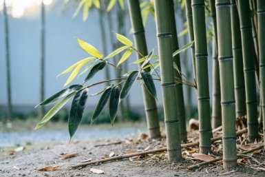 Тематическое фото Создано при помощи ИИ