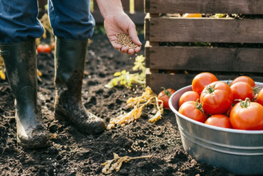 Тематическое фото Создано при помощи ИИ