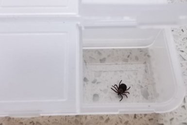 Тематическое фото ИА UssurMedia