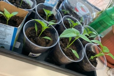 Тематическое фото Фото автора