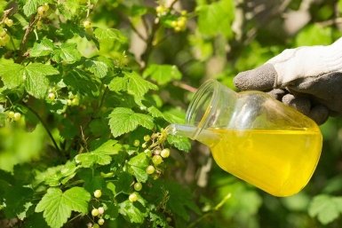 Тематическое фото Создана при помощи ИИ