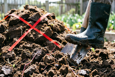 Тематическое фото Создано при помощи ИИ