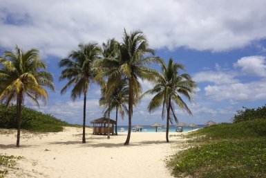 Тематическое фото pxhere.com