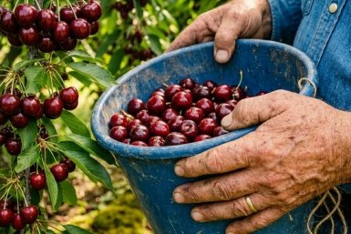 Тематическое фото сгенерировано при помощи ИИ