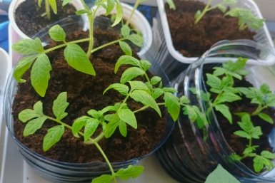 Тематическое фото Фото автора