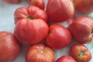 Тематическое фото Ольга Долгополова, ИА UssurMedia