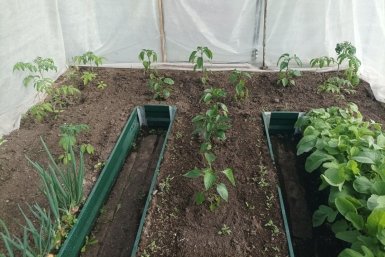 Тематическое фото Фото автора