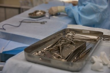 Тематическое фото Дмитрий Осипчук, ИА PrimaMedia