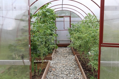 За месяц до высадки рассады – обязательно: как подготовить теплицу весной – не парник, а санаторий