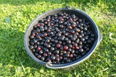 Тематическое фото Фото автора