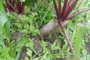 Тематическое фото Фото автора