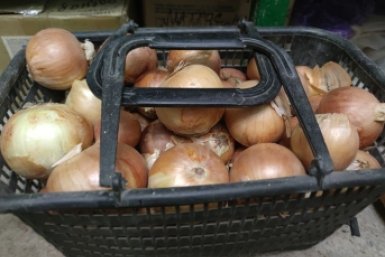 Из 20 сортов лука беру 7: без горечи, слёз и лишней возни - посадил и забыл