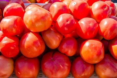 1 ложка удобрения в лунку и мульча из травы — и томаты сладкие, как мёд: собираю урожай вёдрами