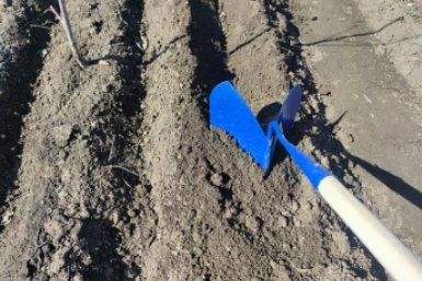 За 3 недели до посадки – крайне желательно: как подготовить грядки для открытого грунта – будут тонны урожая