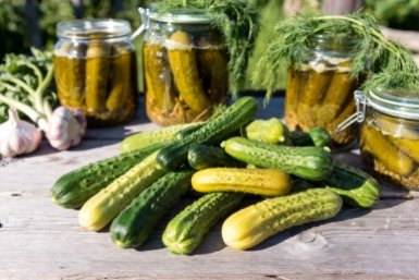 От огурцов теплица трещит по швам: вот чем их задабривают бывалые садоводы — список из 4 подкормок