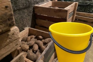 Поставил это в углу — и в погребе суше, чем в Сахаре: никаких потопов даже весной