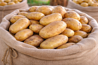 1 горсть в лунку заменит 1 кг навоза -  и картошка больше не мельчит: клубни с кулак, ровные, без гнили