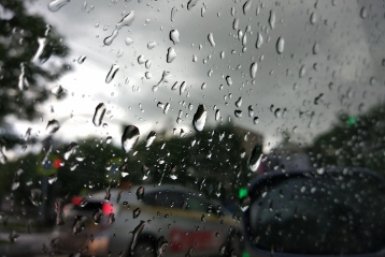 Новость дня