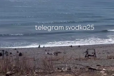 "Головкой нырнул": парковка водителя на Русском острове "ошарашила" народ – видео