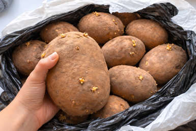 7 ранних сортов картофеля дают урожай уже в июне - без гороха, проволочника, а "крупняк" разрывает грядки