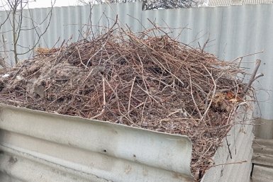 Ветки от деревьев не сжигаем и не выкидываем: применяем в огороде — 3 лайфхака для дров, мульчи и тёплых грядок