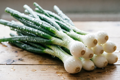 Лук на перо — без теплицы и "заморочек": быстрая свежая зелень за 10 дней