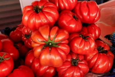 Сплошное помидорное мясо, на вкус чистый мед и ни грамма кислинки - 4 сорта томатов, которые стали фаворитами грядок