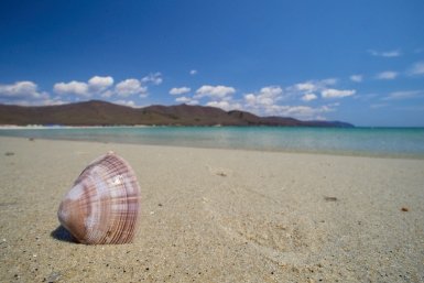 Из 5 курортов, где я был, на этом самая чистая вода - бриллиант Черного моря