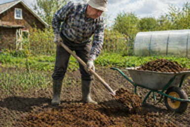 Дачники, навоз - прошлый век: 4 новинки, которые дешевле, эффективнее и без дикой вони