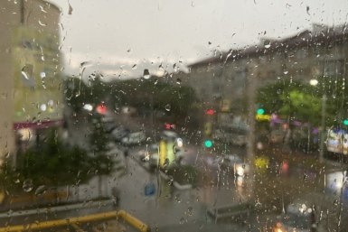 Новость дня