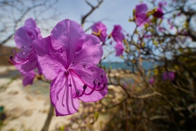 Тематическое фото Дмитрий Осипчук, ИА PrimaMedia