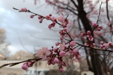 Каким будет май в Приморье: долгосрочный прогноз синоптиков